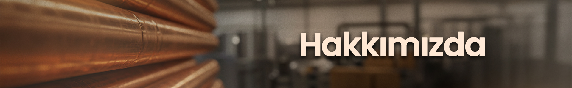 Hakkımızda